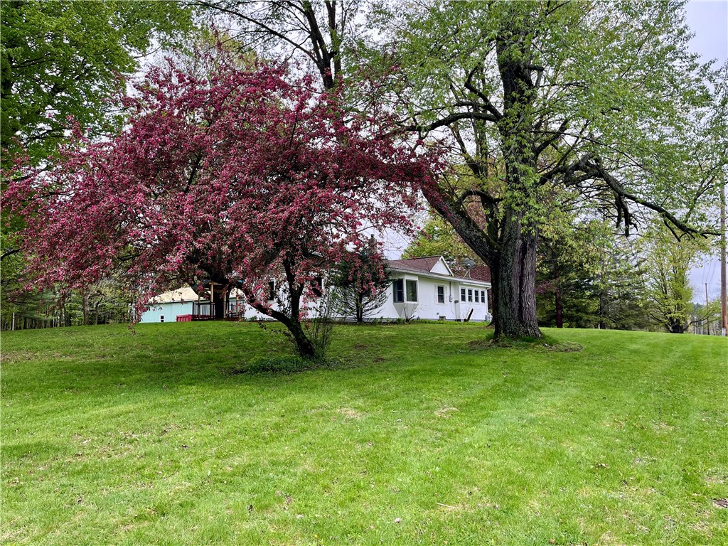 558 Sterling Station Road Sterling, NY 13143 - Photo 5 of 45