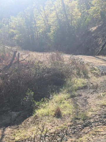 a view of a yard with an empty space