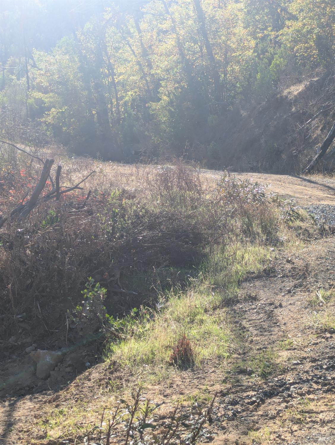 1833 Hunter Point Road Upper Lake, CA 95485 - Photo 13 of 65