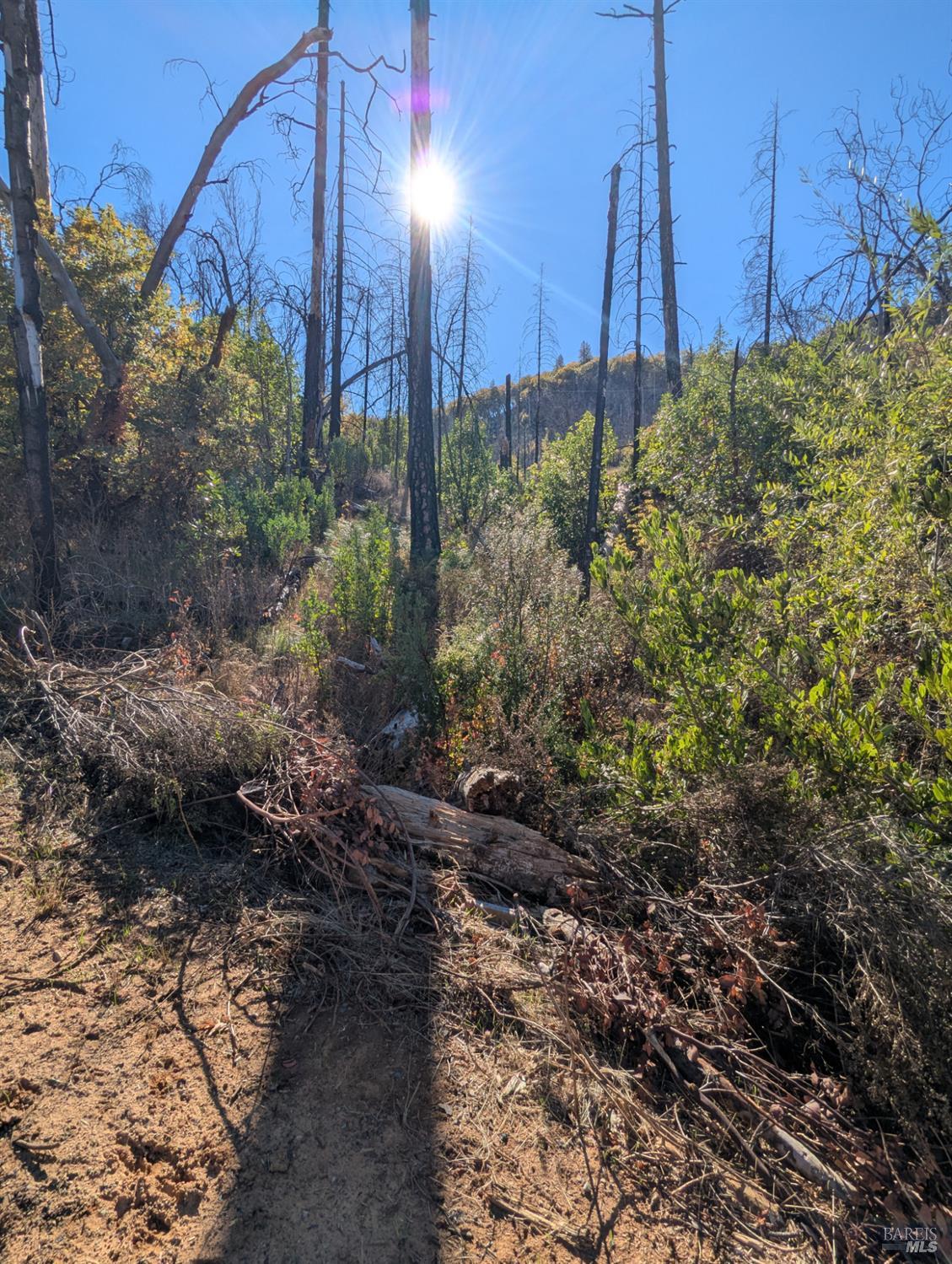 1833 Hunter Point Road Upper Lake, CA 95485 - Photo 14 of 65