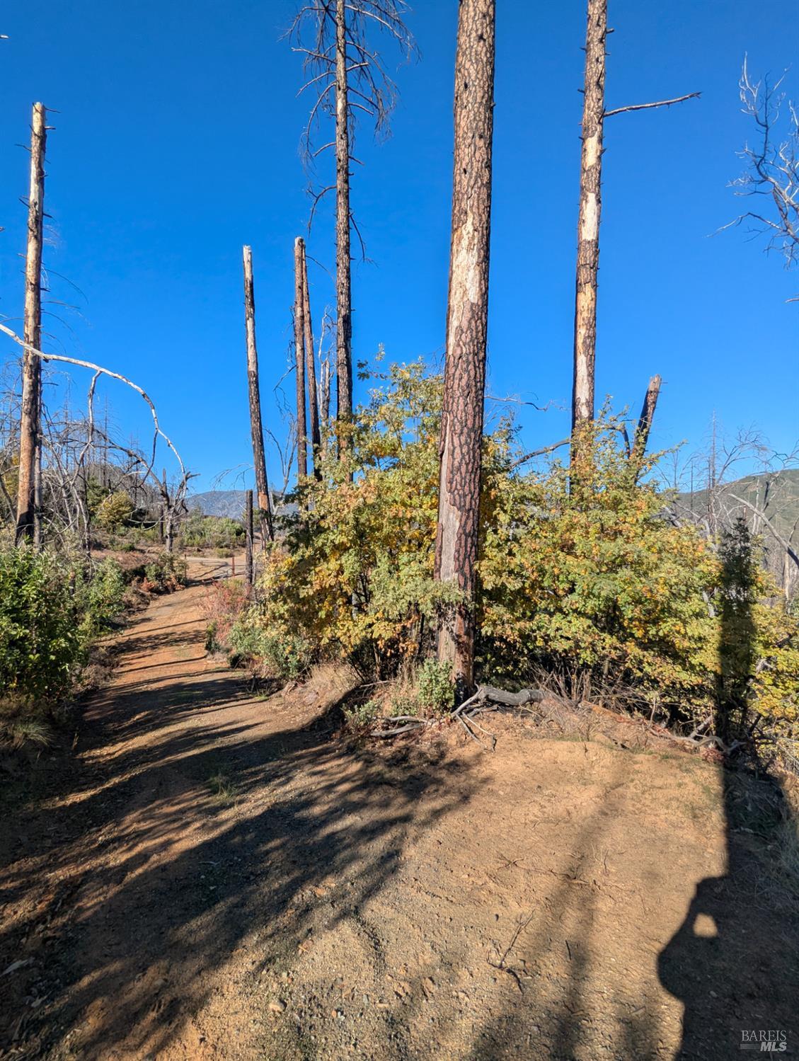1833 Hunter Point Road Upper Lake, CA 95485 - Photo 16 of 65 a view of a yard with street