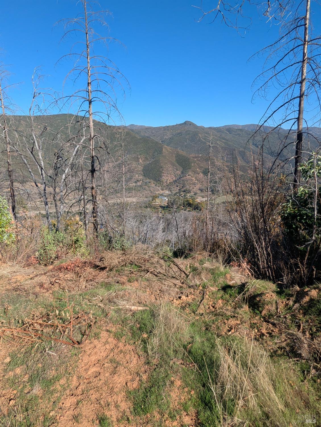 1833 Hunter Point Road Upper Lake, CA 95485 - Photo 18 of 65 a view of a road in a field