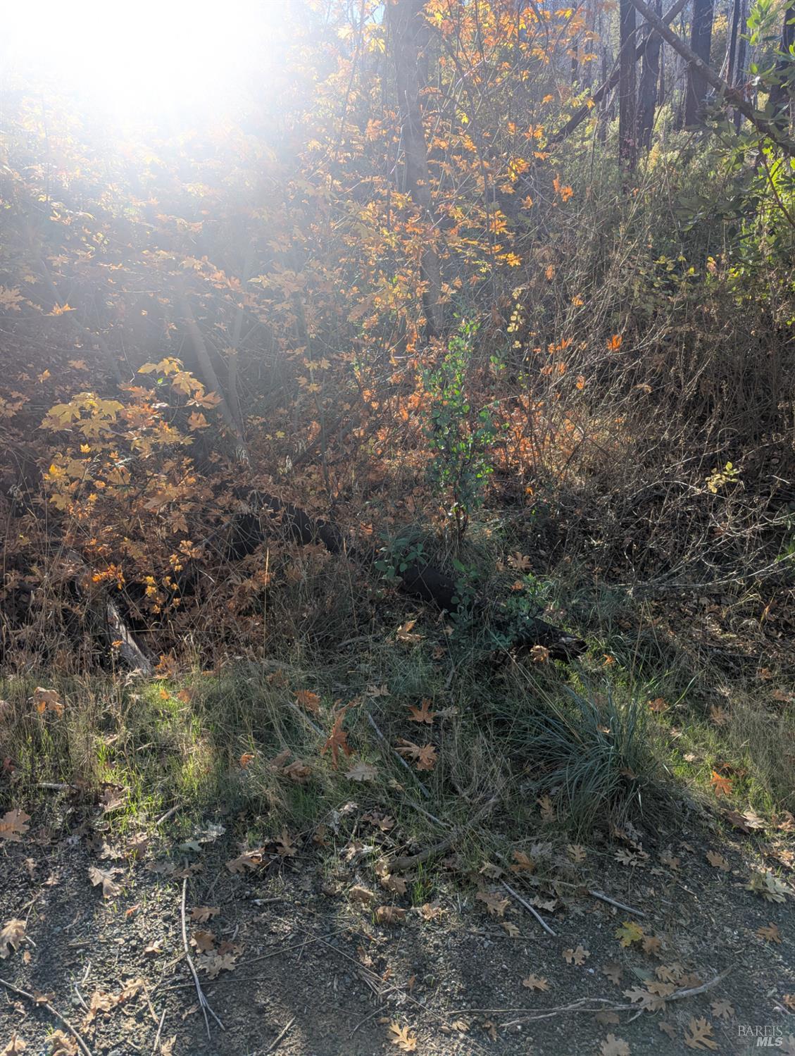 1833 Hunter Point Road Upper Lake, CA 95485 - Photo 20 of 65