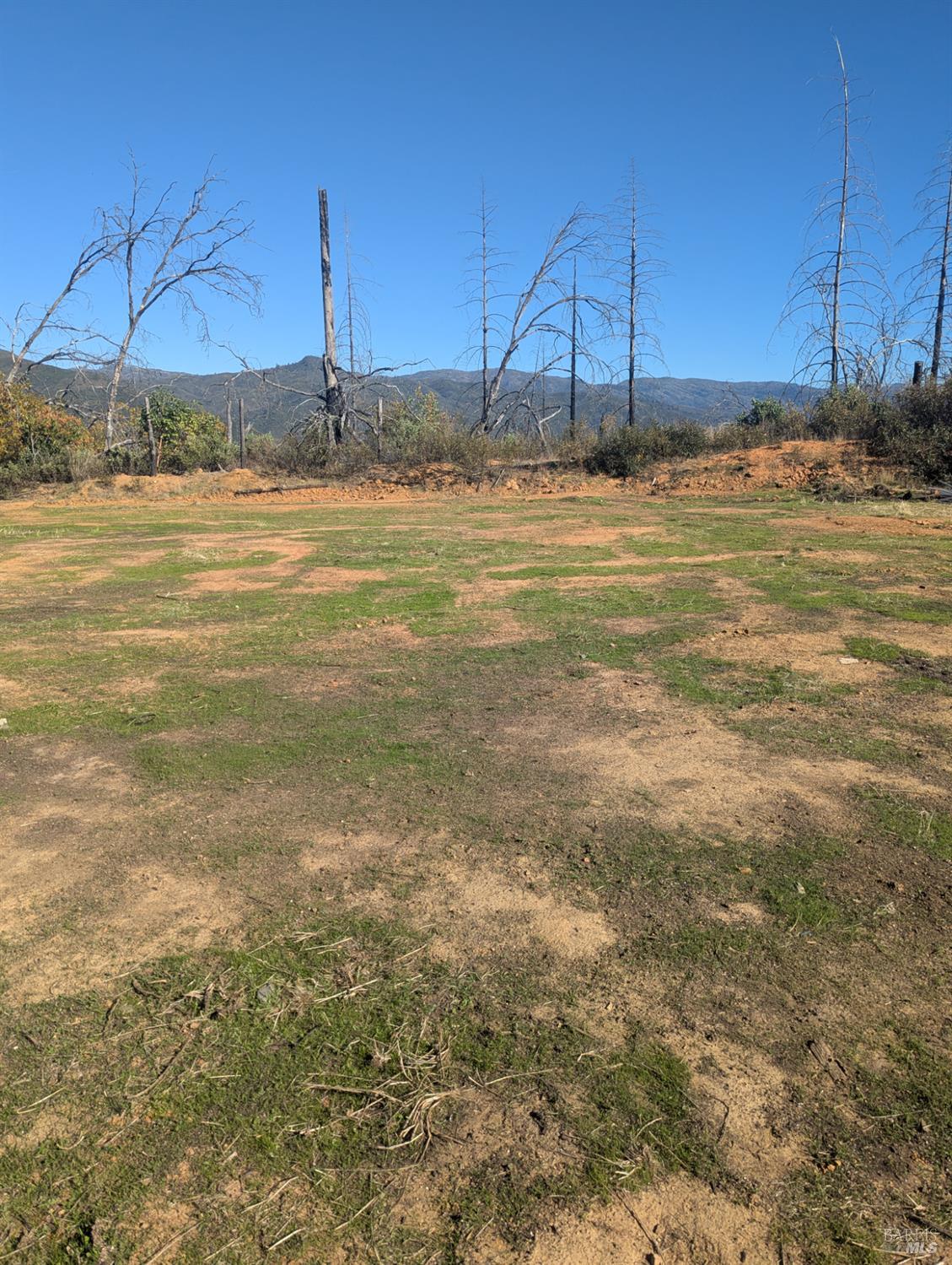 1833 Hunter Point Road Upper Lake, CA 95485 - Photo 23 of 65 a view of a swimming pool with a yard