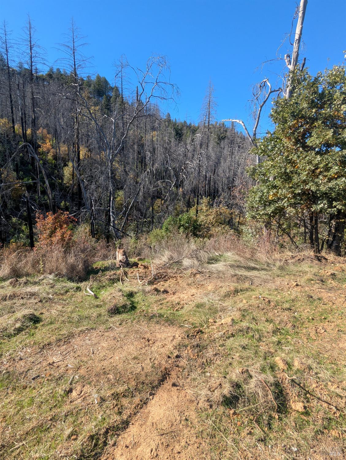 1833 Hunter Point Road Upper Lake, CA 95485 - Photo 25 of 65