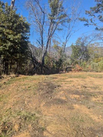 a view of backyard with green space