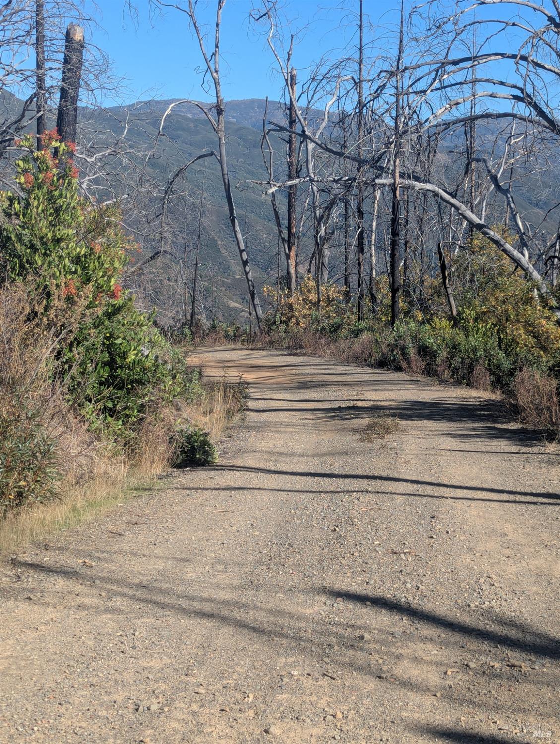 1833 Hunter Point Road Upper Lake, CA 95485 - Photo 27 of 65 a view of a house with a yard