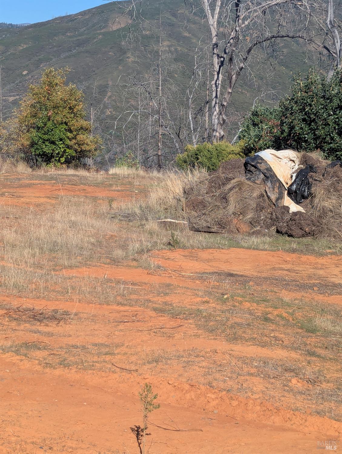 1833 Hunter Point Road Upper Lake, CA 95485 - Photo 30 of 65 a view of a yard with an empty space