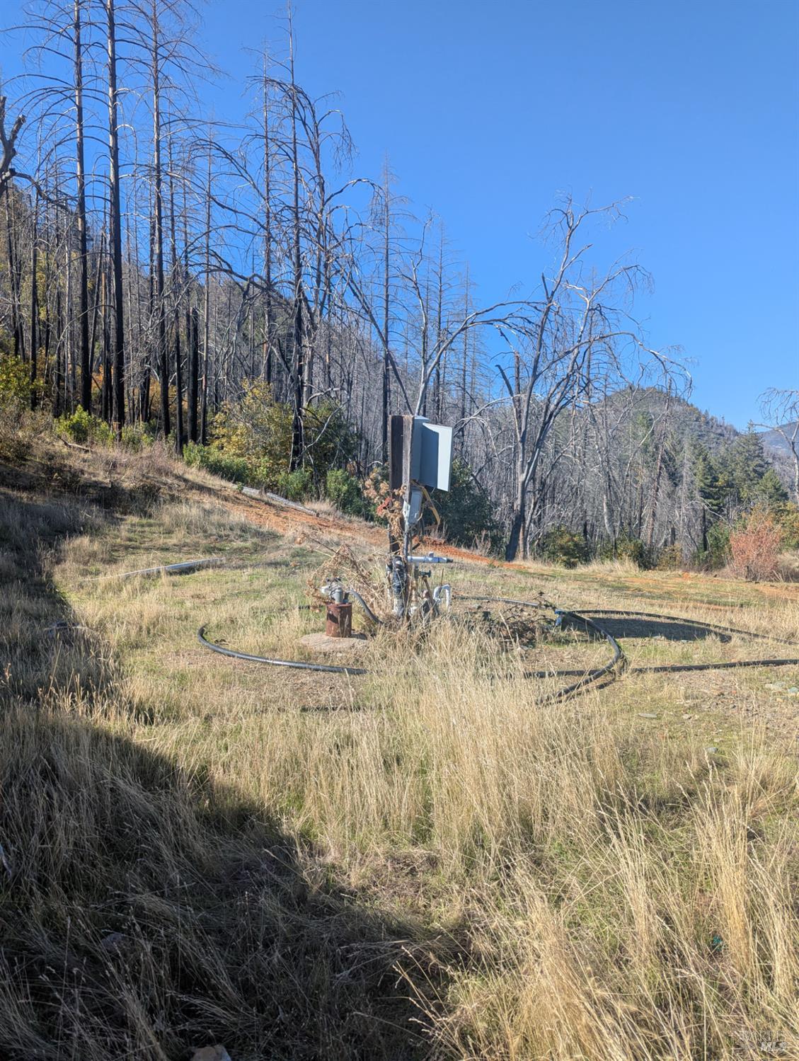 1833 Hunter Point Road Upper Lake, CA 95485 - Photo 3 of 65 a view of dirt yard with a large tree