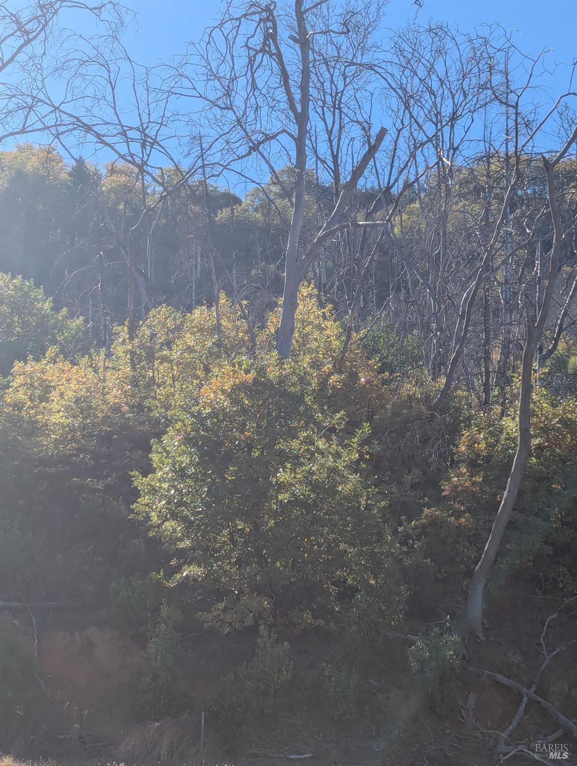 1833 Hunter Point Road Upper Lake, CA 95485 - Photo 31 of 65