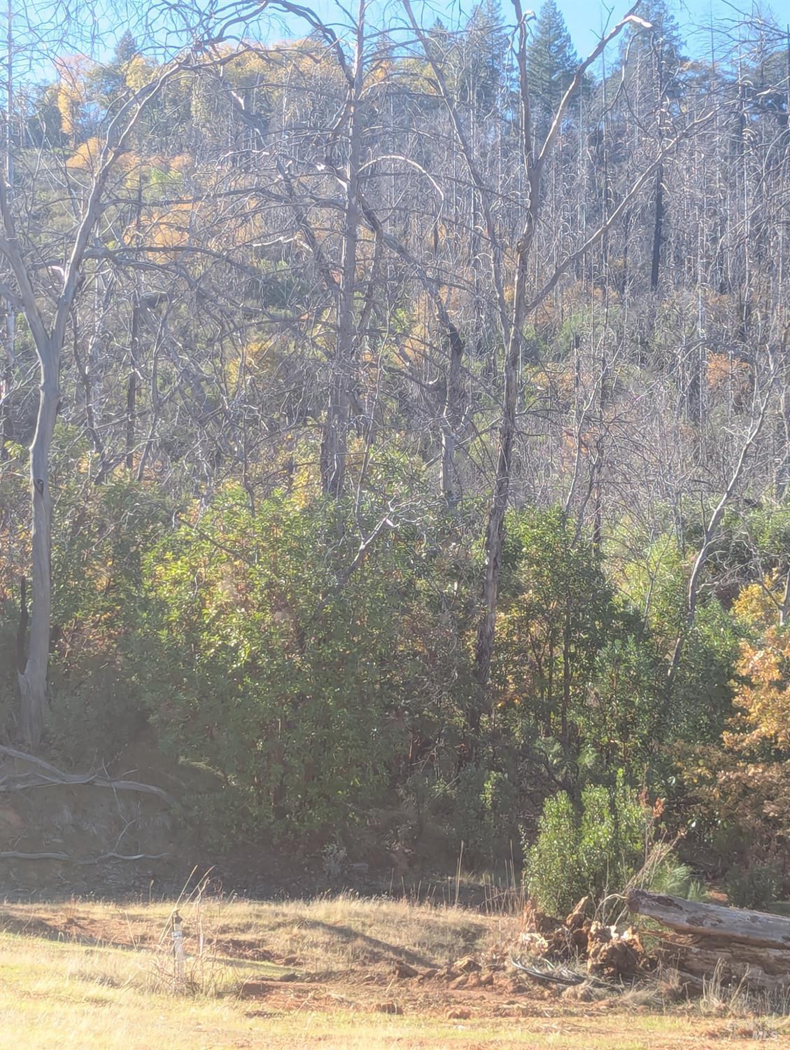 1833 Hunter Point Road Upper Lake, CA 95485 - Photo 32 of 65