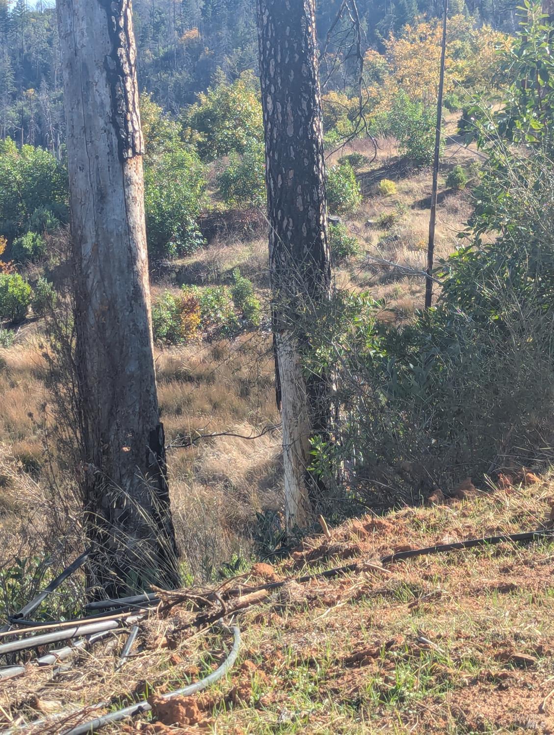 1833 Hunter Point Road Upper Lake, CA 95485 - Photo 33 of 65