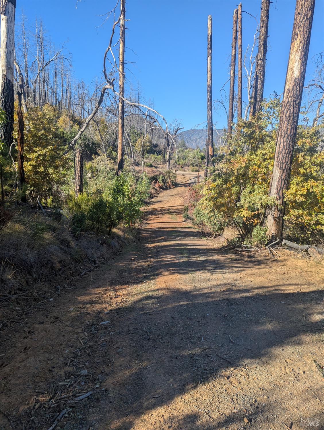 1833 Hunter Point Road Upper Lake, CA 95485 - Photo 36 of 65