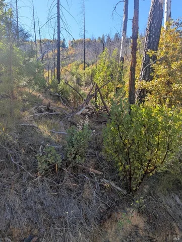 $149,000 | 1833 Hunter Point Road, Upper Lake, CA 95485