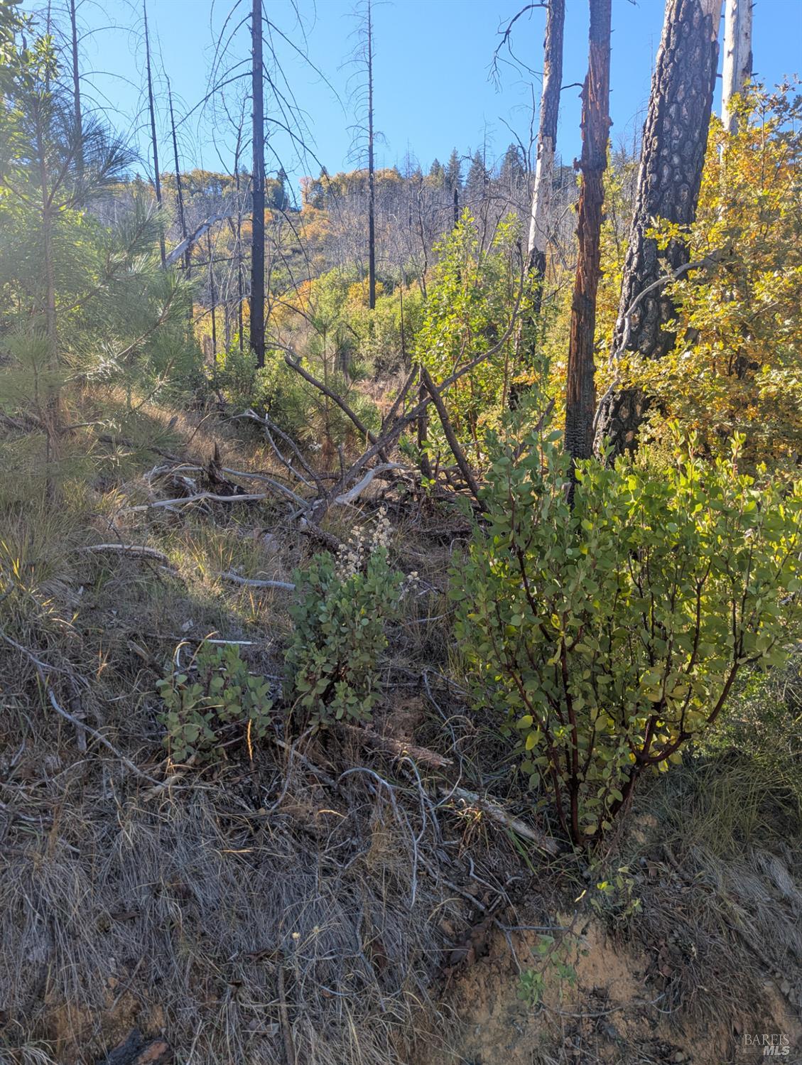 1833 Hunter Point Road Upper Lake, CA 95485 - Photo 37 of 65