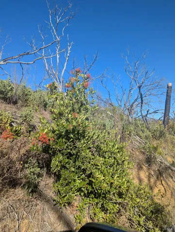 $149,000 | 1833 Hunter Point Road, Upper Lake, CA 95485