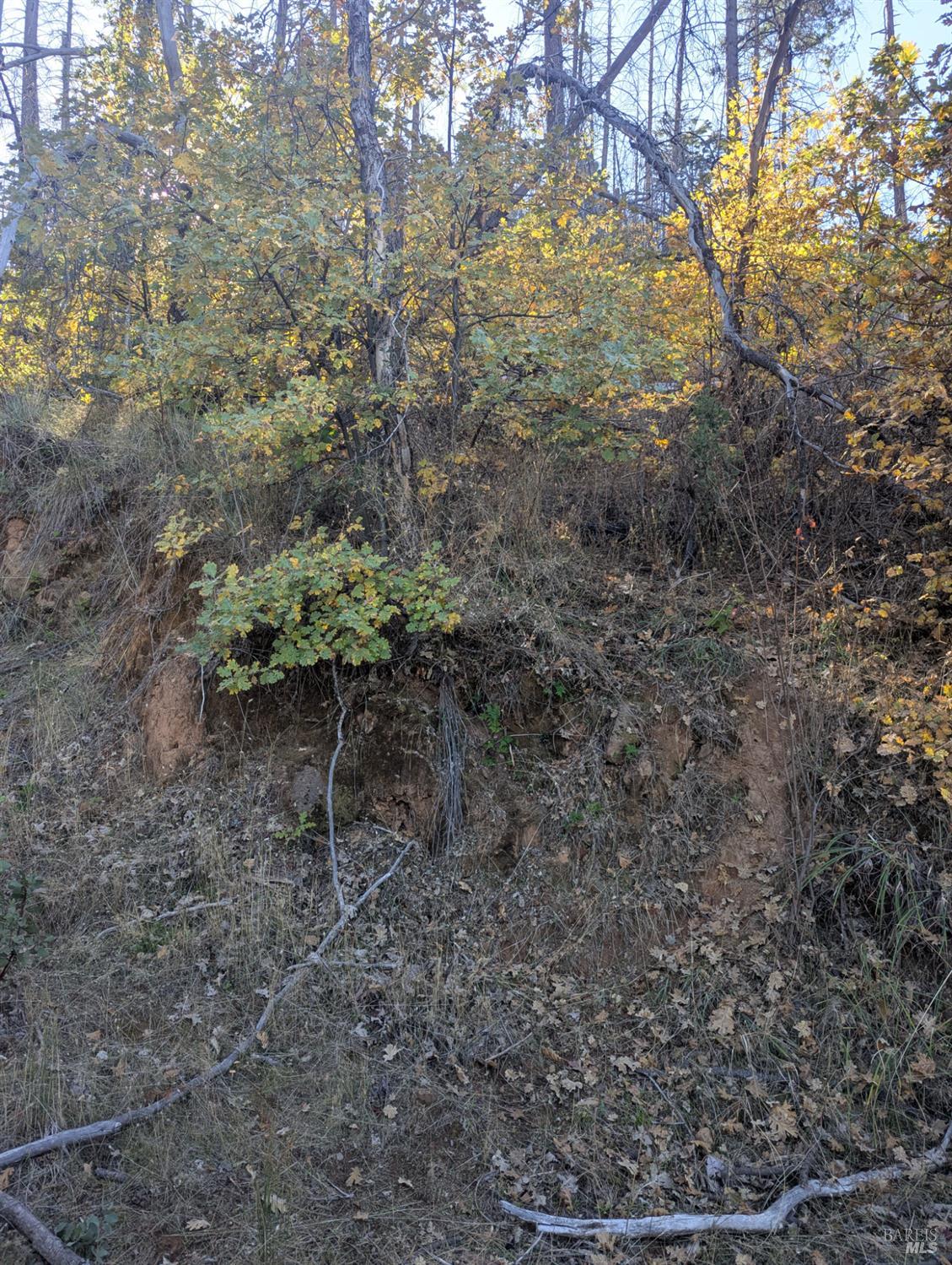 1833 Hunter Point Road Upper Lake, CA 95485 - Photo 40 of 65