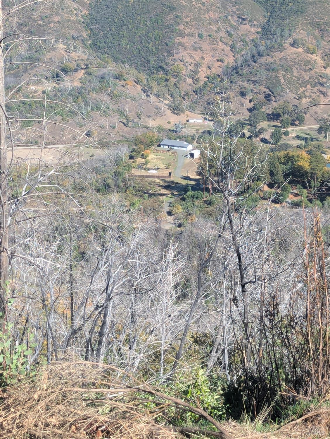 1833 Hunter Point Road Upper Lake, CA 95485 - Photo 4 of 65