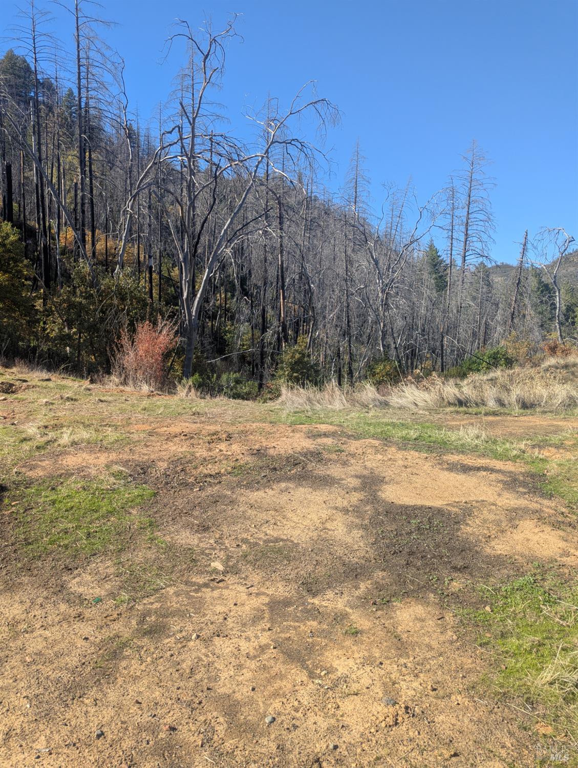 1833 Hunter Point Road Upper Lake, CA 95485 - Photo 43 of 65 a view of a yard with wooden fence