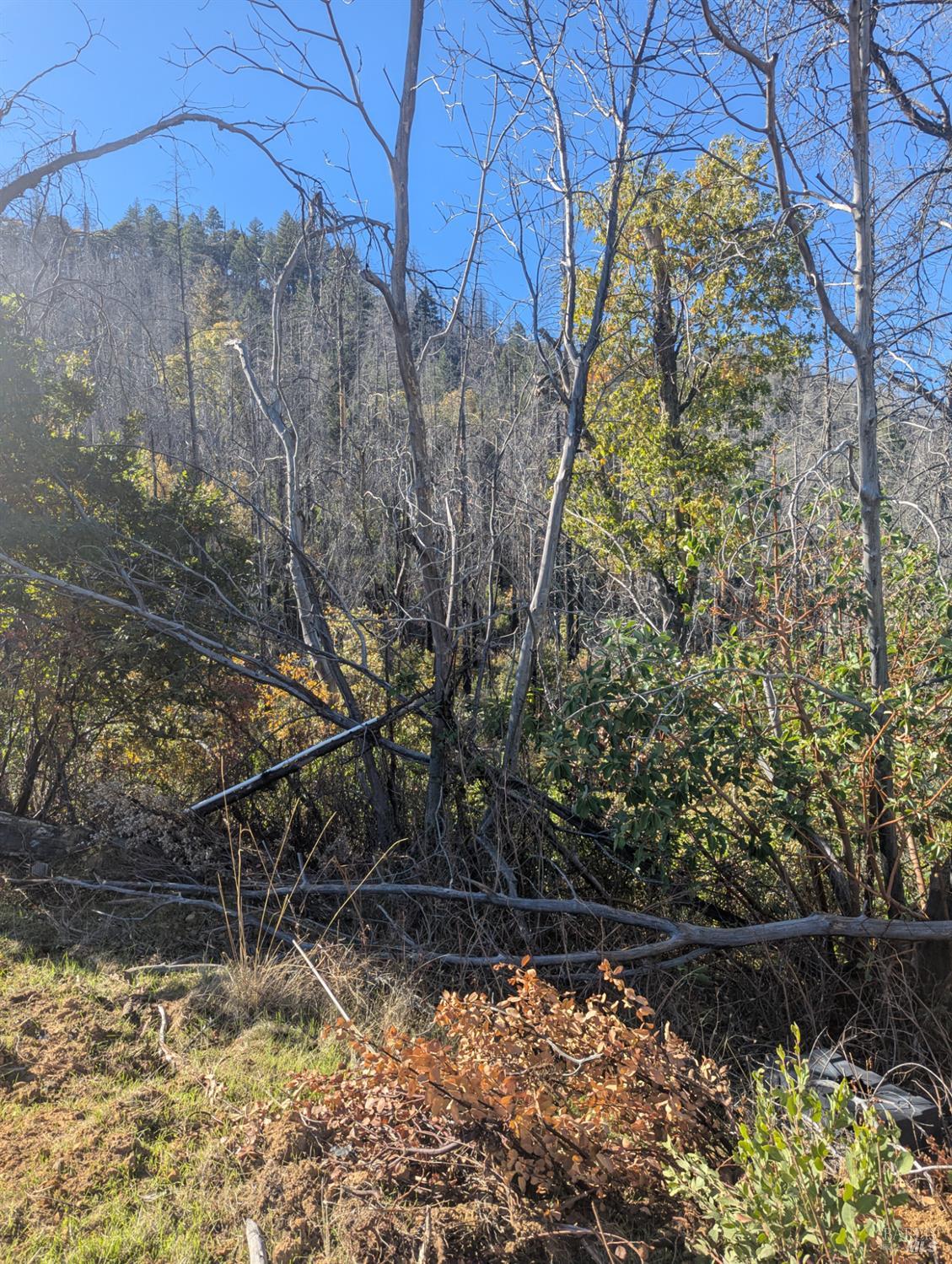 1833 Hunter Point Road Upper Lake, CA 95485 - Photo 45 of 65