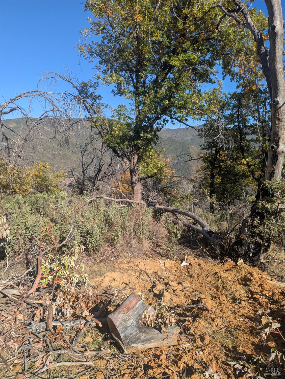 1833 Hunter Point Road Upper Lake, CA 95485 - Photo 46 of 65