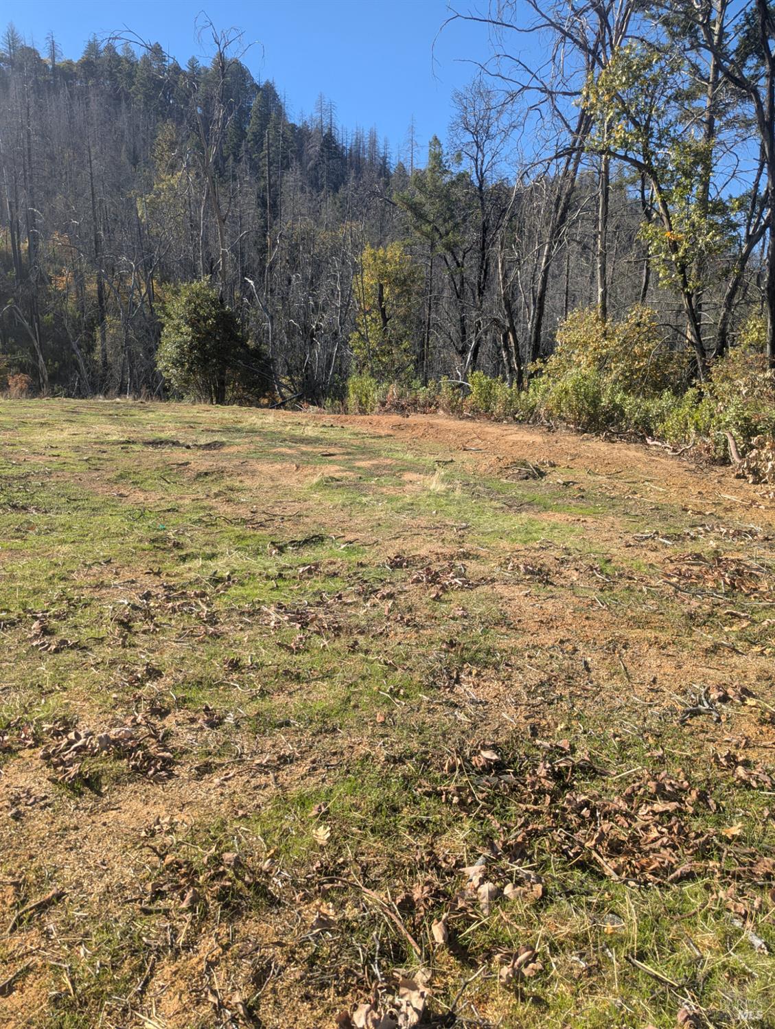 1833 Hunter Point Road Upper Lake, CA 95485 - Photo 48 of 65