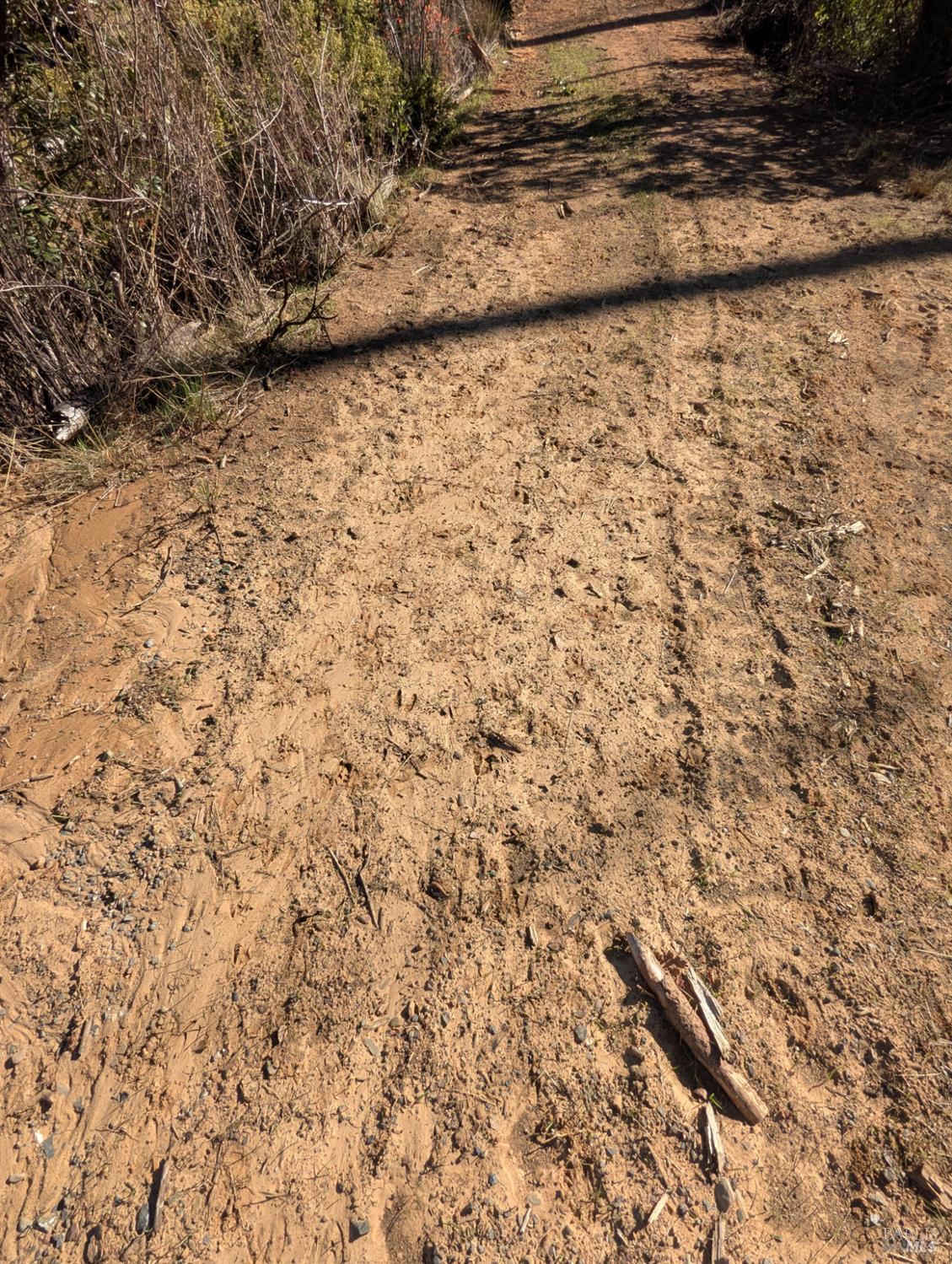 1833 Hunter Point Road Upper Lake, CA 95485 - Photo 49 of 65 a view of a yard with a dry yard