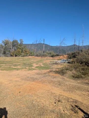 a view of a yard with a lake