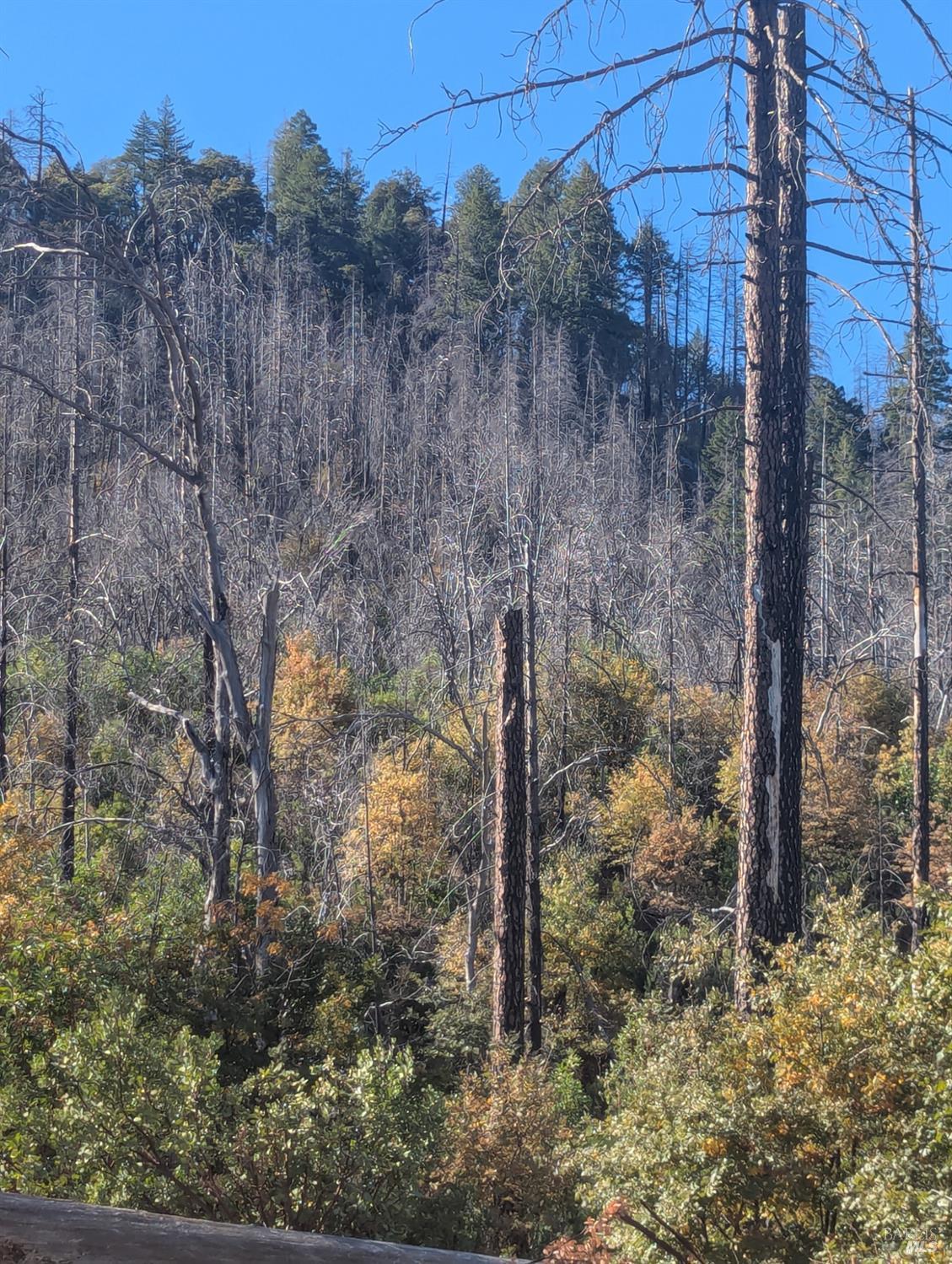 1833 Hunter Point Road Upper Lake, CA 95485 - Photo 55 of 65