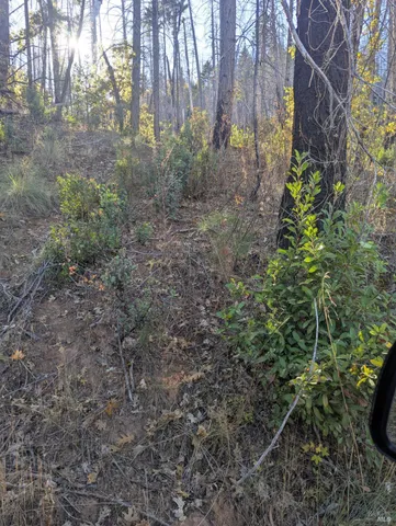 $149,000 | 1833 Hunter Point Road, Upper Lake, CA 95485