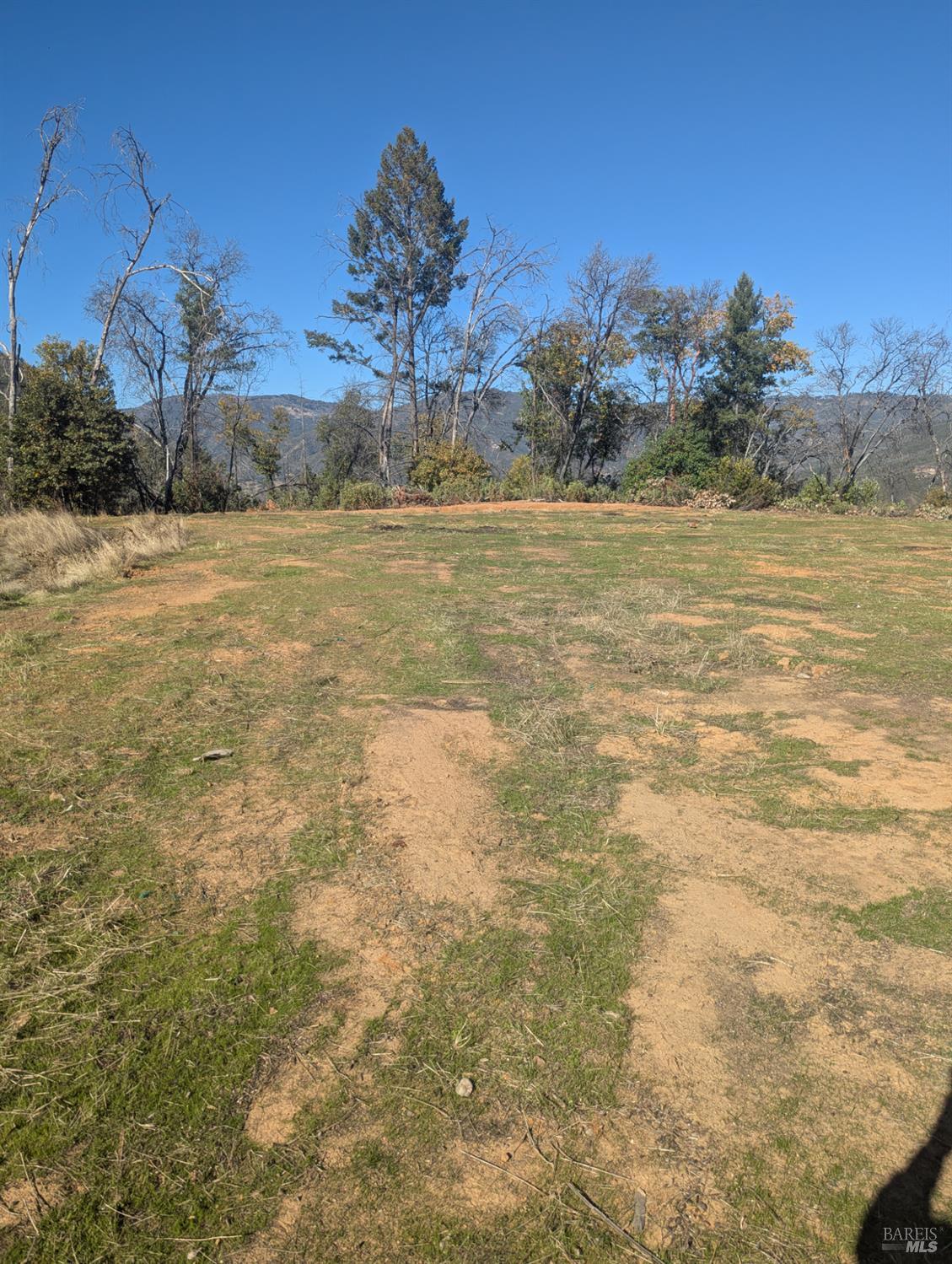 1833 Hunter Point Road Upper Lake, CA 95485 - Photo 6 of 65 a view of a yard with a lake