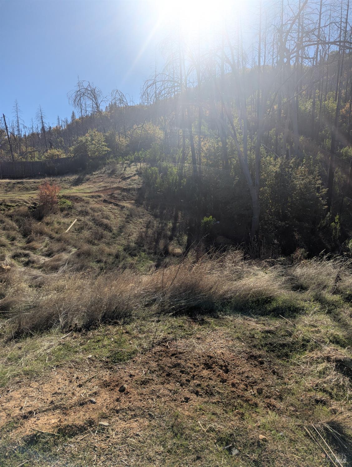 1833 Hunter Point Road Upper Lake, CA 95485 - Photo 61 of 65 a view of a yard