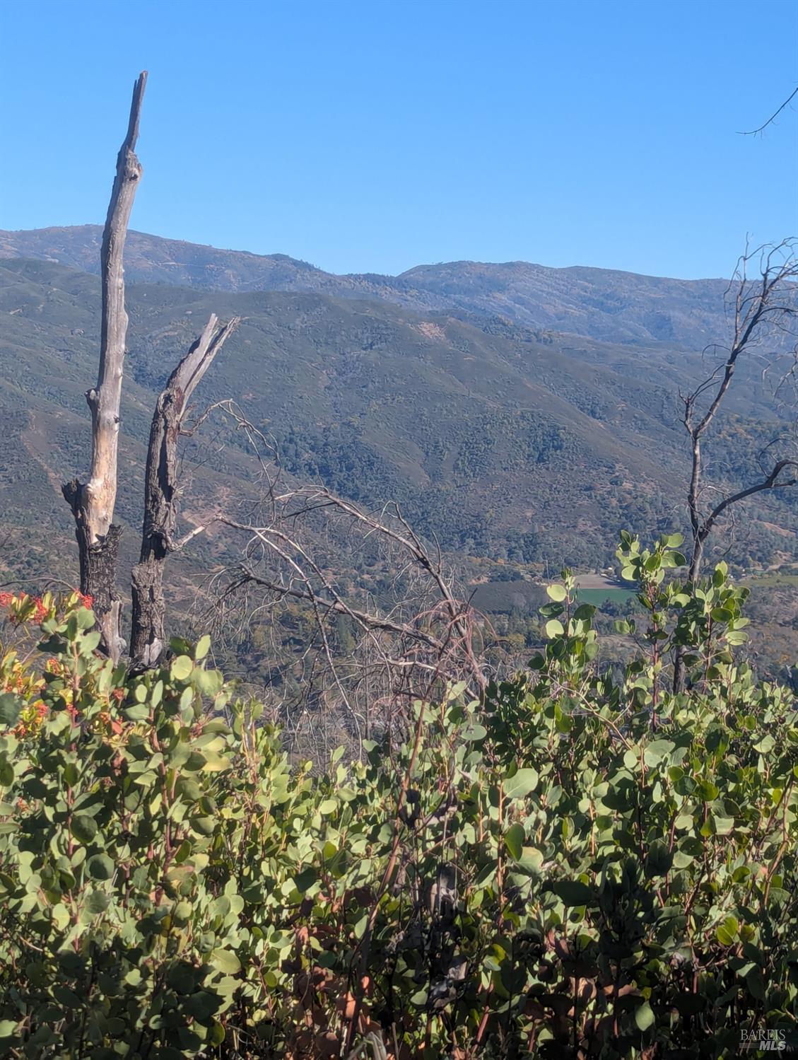 1833 Hunter Point Road Upper Lake, CA 95485 - Photo 63 of 65