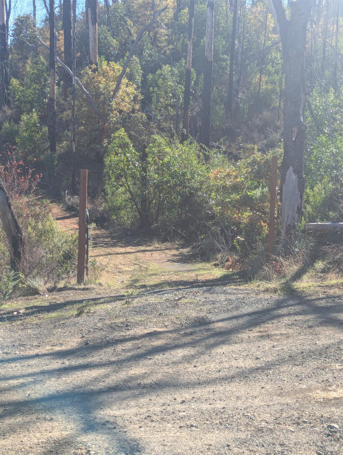 1833 Hunter Point Road Upper Lake, CA 95485 - Photo 65 of 65 a view of backyard with green space