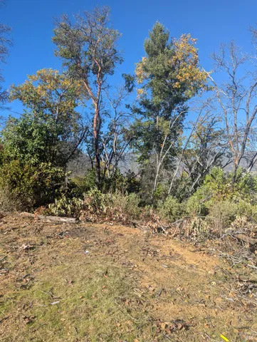 a view of a yard with street