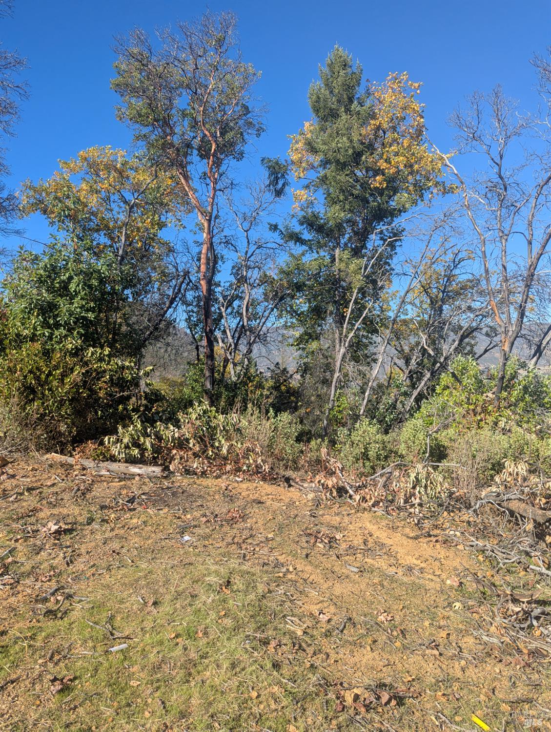 1833 Hunter Point Road Upper Lake, CA 95485 - Photo 7 of 65