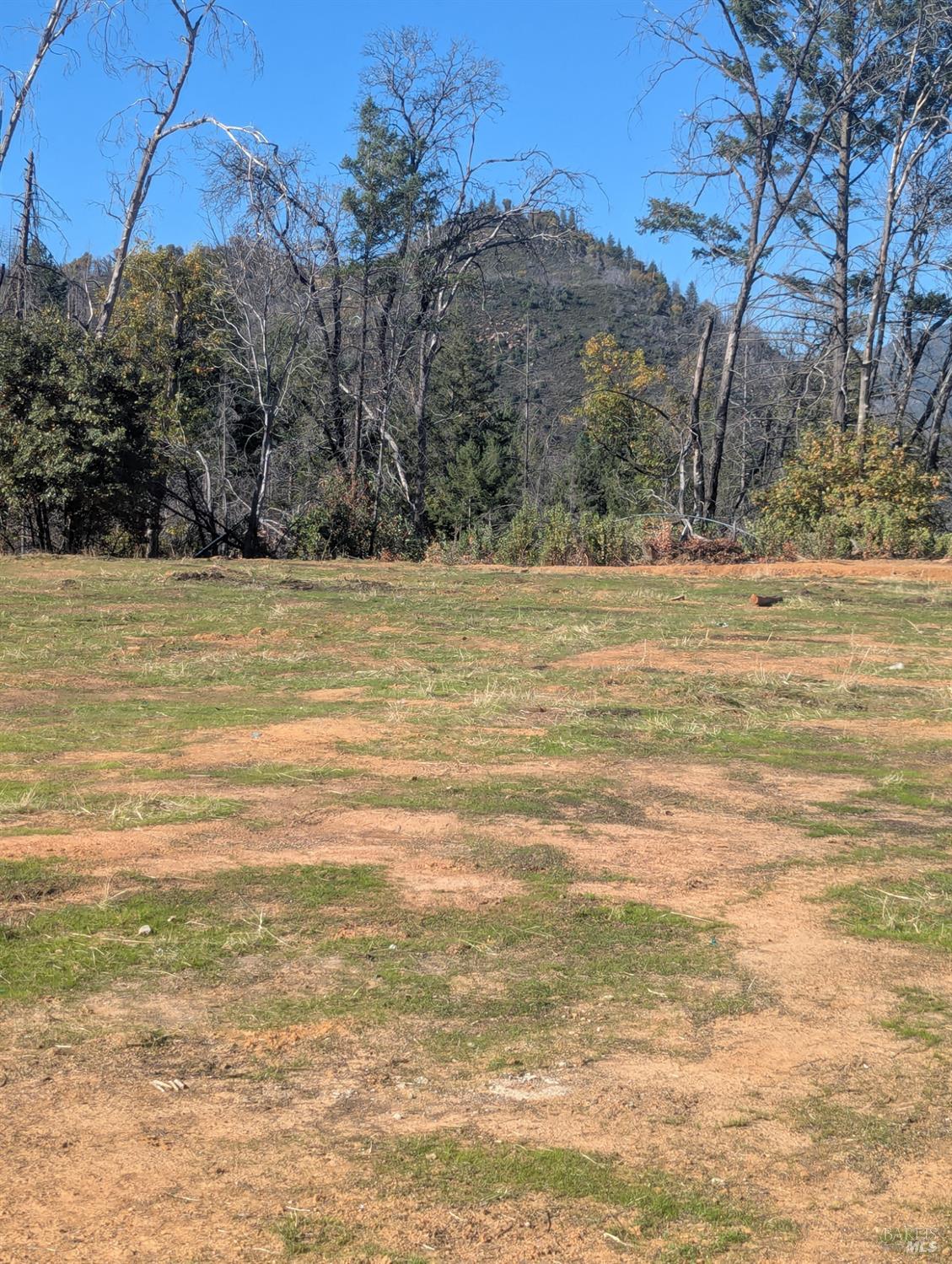 1833 Hunter Point Road Upper Lake, CA 95485 - Photo 10 of 65