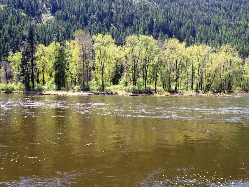 400-block Customs Road Curlew, WA 99118 - Photo 1 of 8 Gallery Image 1