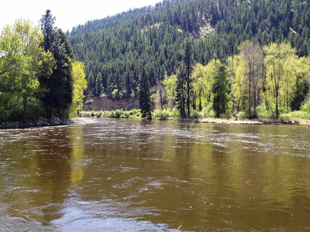 400-block Customs Road Curlew, WA 99118 - Photo 4 of 8 Gallery Image 4