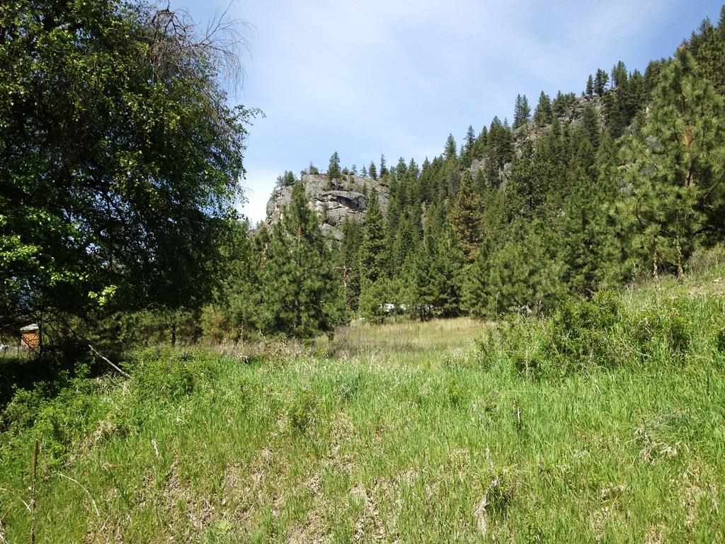 400-block Customs Road Curlew, WA 99118 - Photo 6 of 8 Gallery Image 6