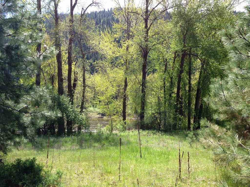 400-block Customs Road Curlew, WA 99118 - Photo 7 of 8 Gallery Image 7