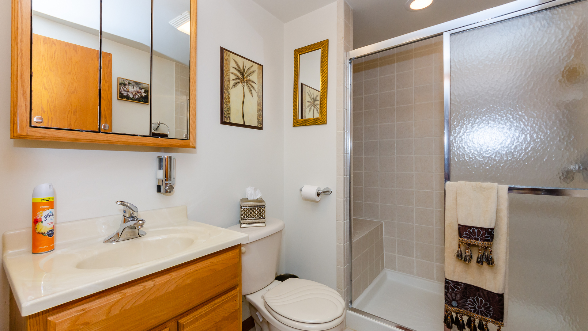 940 Gannon Drive Hoffman Estates, IL 60169 - Photo 20 of 20 a bathroom with a sink toilet and shower