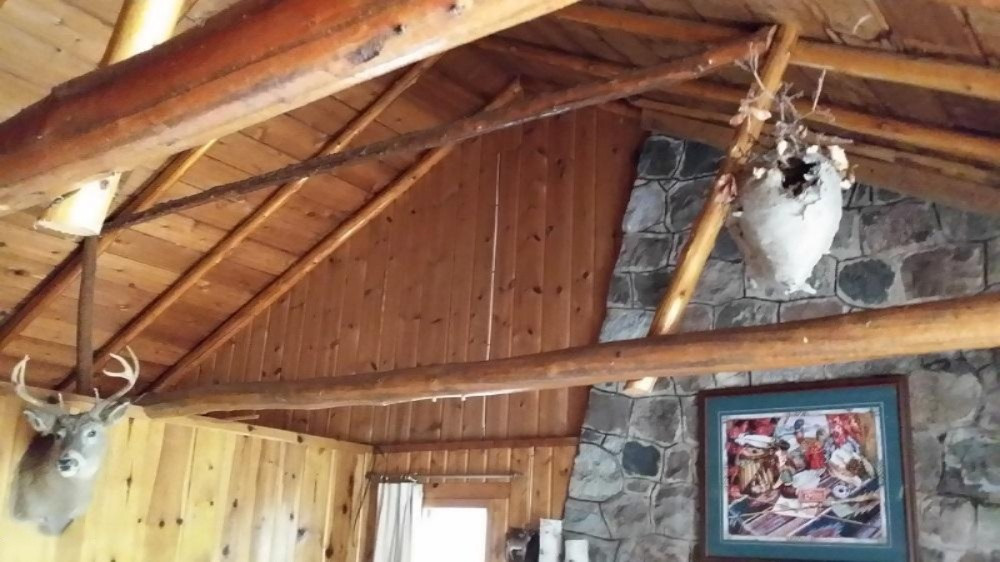 5176 West 9 Mile Road Irons, MI 49644 - Photo 11 of 13 20150429_153535