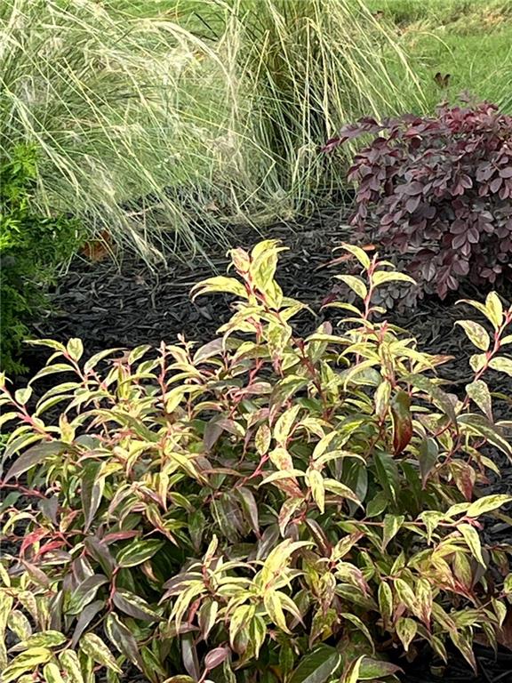 119 Satcher Road Taylorsville, GA 30178 - Photo 175 of 191