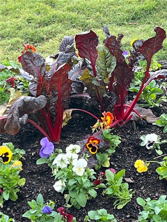 119 Satcher Road Taylorsville, GA 30178 - Photo 176 of 191