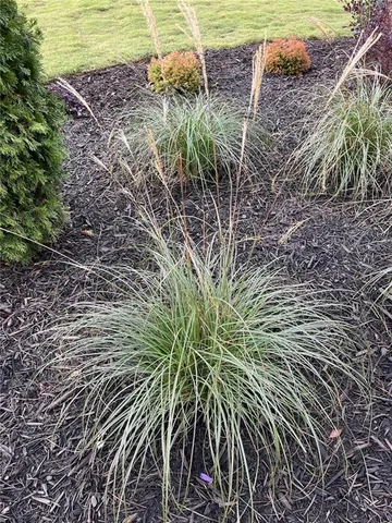 $1,350,000 | 119 Satcher Road, Taylorsville, GA 30178