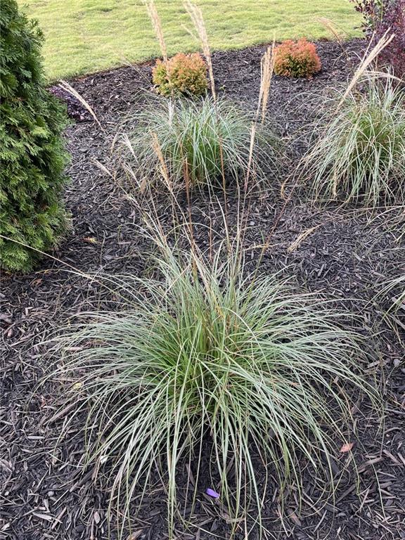 119 Satcher Road Taylorsville, GA 30178 - Photo 177 of 191