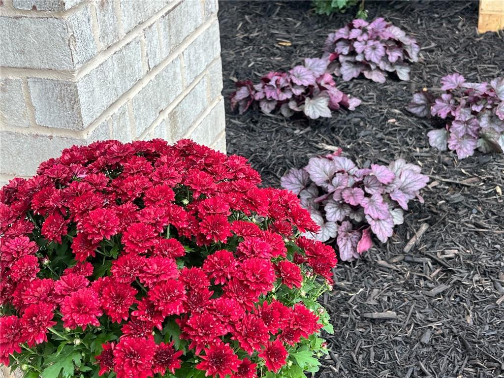 119 Satcher Road Taylorsville, GA 30178 - Photo 178 of 191