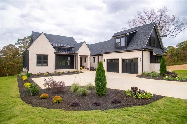 a close up of a plant in a garden