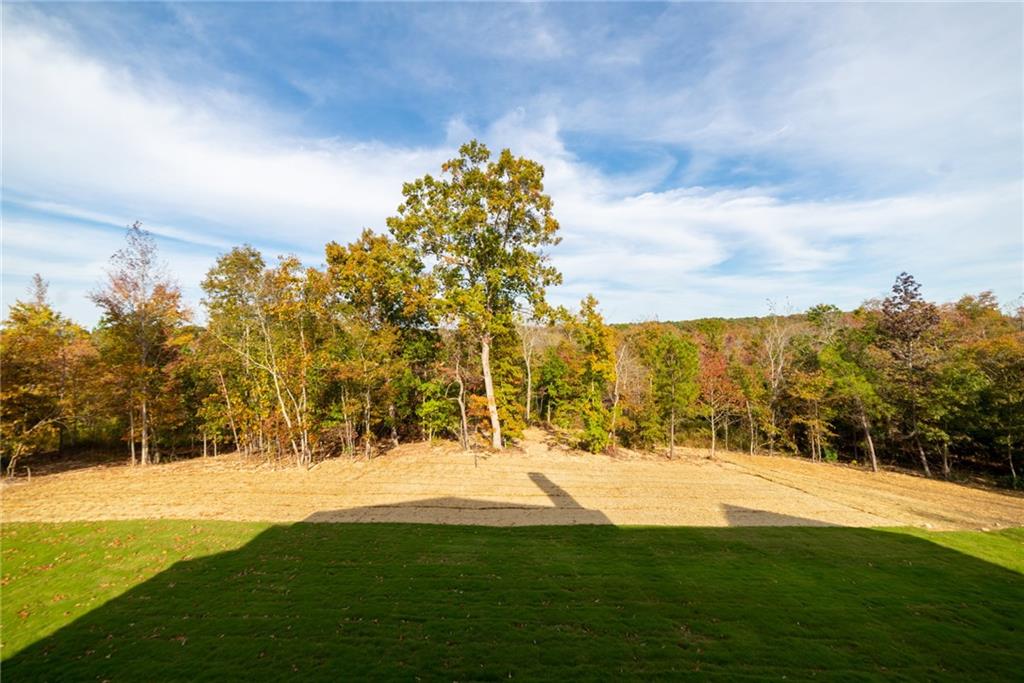 119 Satcher Road Taylorsville, GA 30178 - Photo 56 of 191